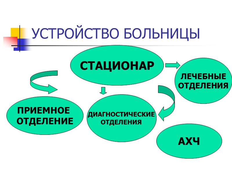 УСТРОЙСТВО БОЛЬНИЦЫ СТАЦИОНАР ПРИЕМНОЕ  ОТДЕЛЕНИЕ ДИАГНОСТИЧЕСКИЕ ОТДЕЛЕНИЯ ЛЕЧЕБНЫЕ ОТДЕЛЕНИЯ АХЧ